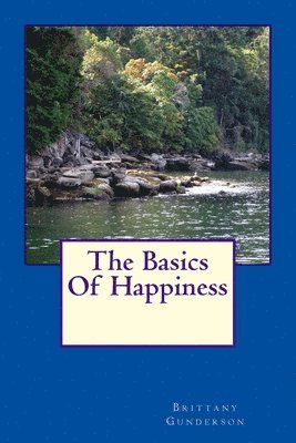 bokomslag The Basics Of Happiness