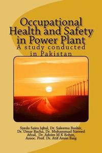 bokomslag Occupational Health and Safety in a Power Plant: A study conducted in Pakistan