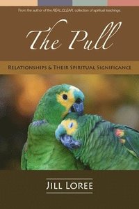 bokomslag The Pull: Relationships & their Spiritual Significance