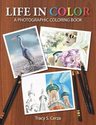 bokomslag Life In Color: A Photographic Coloring Book