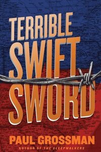 bokomslag Terrible Swift Sword