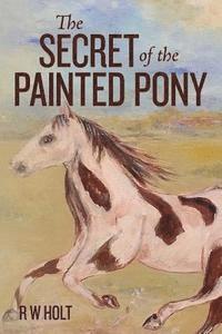 bokomslag The Secret of the Painted Pony