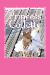 bokomslag Princess Collette