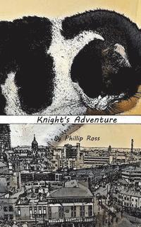 Knight's Adventure 1