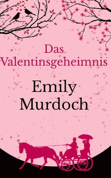 bokomslag Valentinsgeheimnis