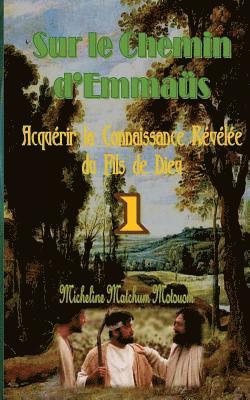 bokomslag Sur le Chemin d'Emmaüs: Acquérir la Connaissance Révélée du Fils de Dieu