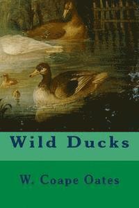 bokomslag Wild Ducks