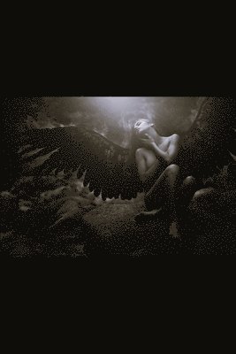 Mindy Baker - ShadowHouse Series: Sanity's Release Volume 2, Häftad