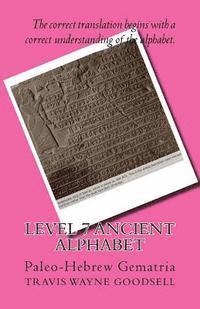 bokomslag Level 7 Ancient Alphabet: Paleo-Hebrew Gematria