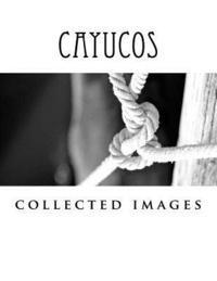bokomslag Cayucos: collected images
