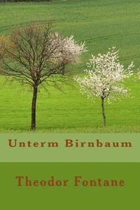 bokomslag Unterm Birnbaum