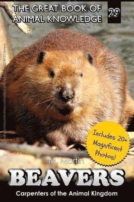 bokomslag Beavers