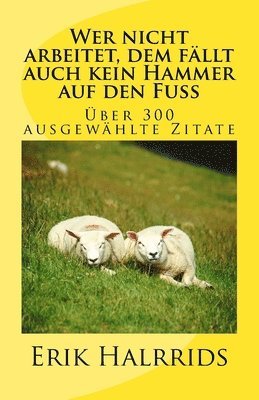 Erik Halrrids - Wer nicht arbeitet, dem fällt auch kein Hammer auf den Fuß: Eine Zitate-Sammlung, Häftad
