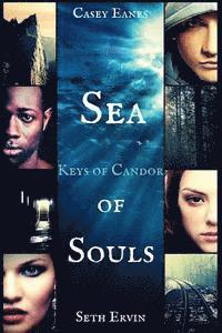 bokomslag Sea of Souls