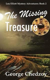 bokomslag The Missing Treasure