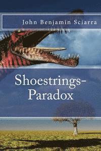 bokomslag Shoestrings-Paradox