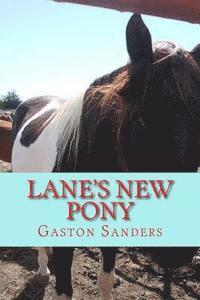 Lane's New Pony 1