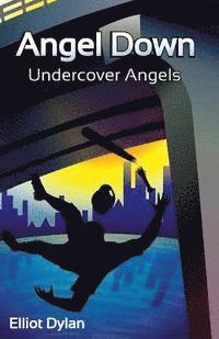 bokomslag Angel Down: Undercover Angels