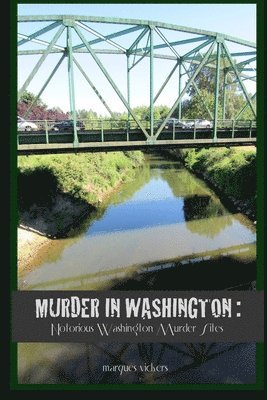 bokomslag Murder in Washington