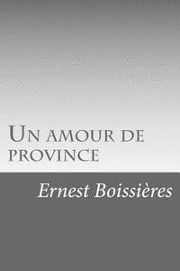 bokomslag Un amour de province