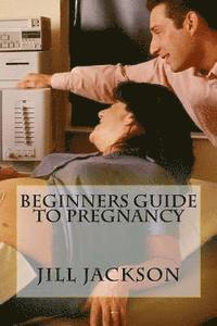 bokomslag Beginners Guide to Pregnancy