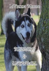 bokomslag Blizzard & Snowball