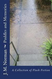 Puddles and Memories: A Collection of Flash Fiction 1