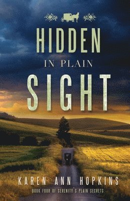 Hidden in Plain Sight 1