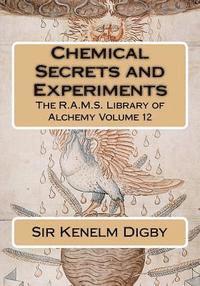 bokomslag Chemical Secrets and Experiments