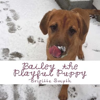 bokomslag Bailey The Playful Puppy Picture Book