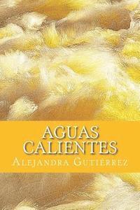 bokomslag Aguas Calientes