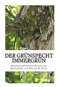 bokomslag Der Grünspecht Immergrün: Bildergeschichte für Kinder und Erwachsene