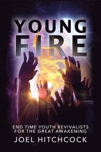 bokomslag Young Fire