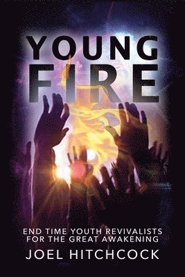 bokomslag Young Fire