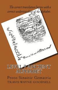 bokomslag Level 7 Ancient Alphabet: Proto Sinaitic Gematria