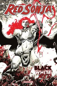 bokomslag Red Sonja: Black, White, Red Volume 1