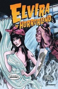 bokomslag Elvira in Horrorland