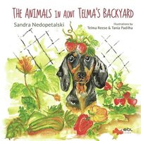bokomslag The Animals in Aunt Telma's Backyard