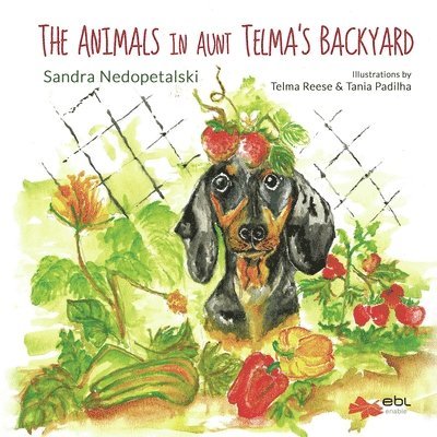 Sandra Nedopetalski - Animals in Aunt Telma's Backyard, Häftad