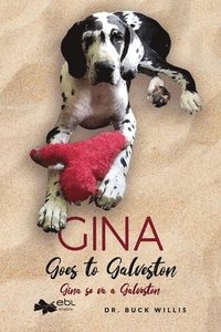 bokomslag Gina Goes to Galveston