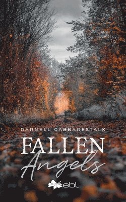 bokomslag Fallen Angels
