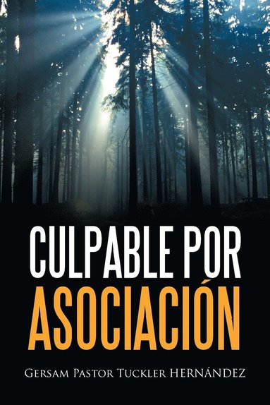 bokomslag Culpable Por Asociación