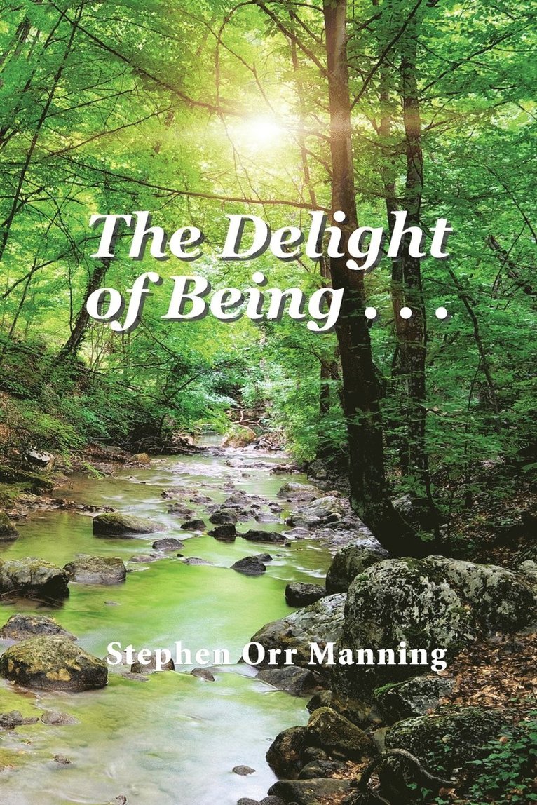 Stephen Orr Manning - Delight of Being . . ., Häftad