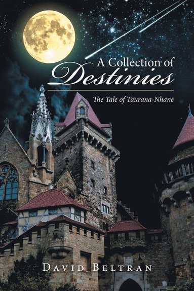 bokomslag Collection of Destinies