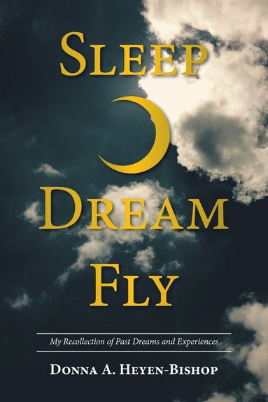 bokomslag Sleep-Dream-Fly