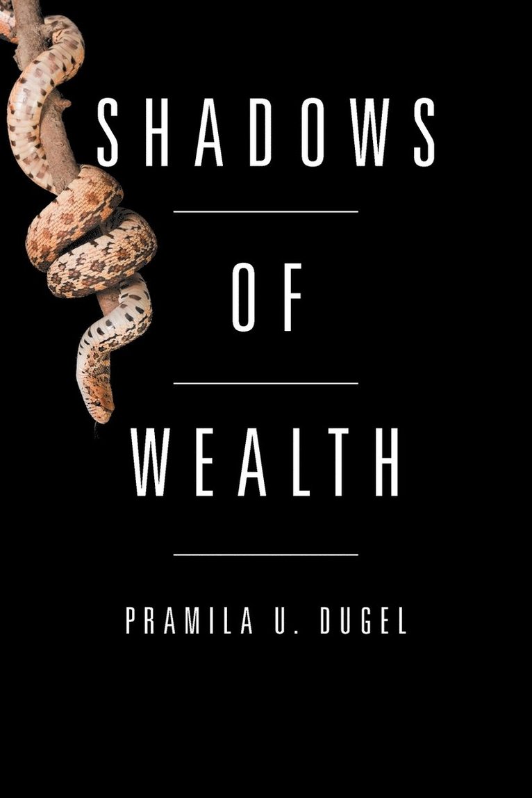 Shadows of Wealth 1