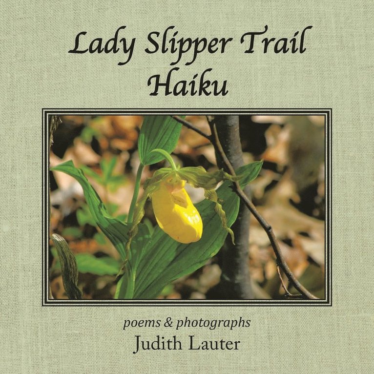 Lady Slipper Trail Haiku 1