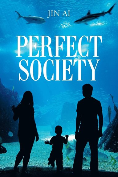 bokomslag Perfect Society