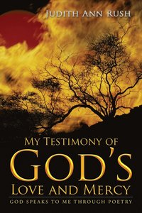 bokomslag My Testimony of God's Love and Mercy