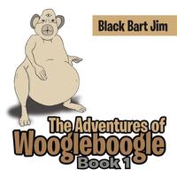 bokomslag The Adventures of Woogleboogle